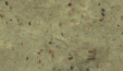 M401_Veladero